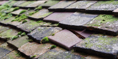 Theydon Bois roof repair costs